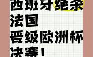 开云体育官网-西班牙-输给瑞典，惨遭淘汰出局的简单介绍